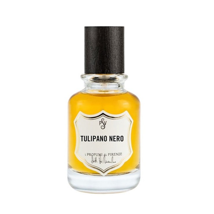 Tulipano Nero 2