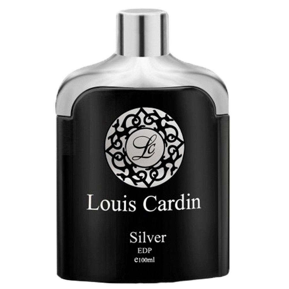 Silver Homme