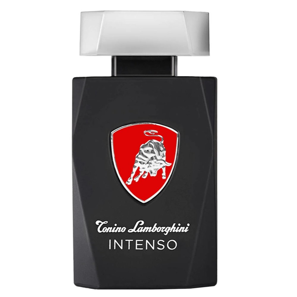 Intenso Woda Toaletowa Spray
