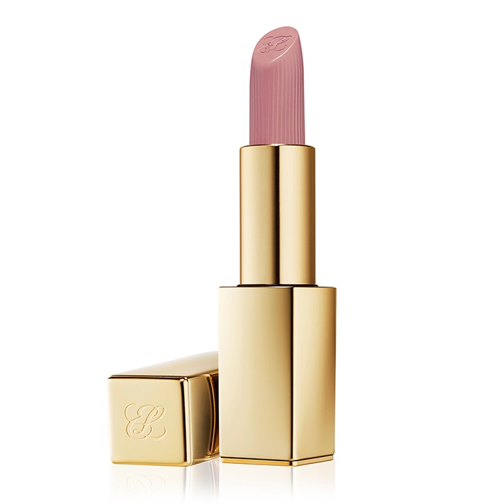 Pure Color Matte Lipstick 17