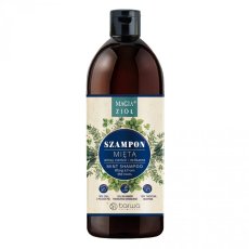 Barwa, Šampón na vlasy Magic Herbs Mint 450ml