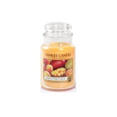 Yankee Candle velká nádoba s vůní Mango Peach Salsa 623g