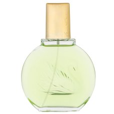 Gloria Vanderbilt, Jardin A New York parfumovaná voda 100ml