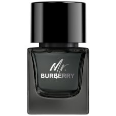 Burberry Mr.Burberry parfémová voda ve spreji 50ml