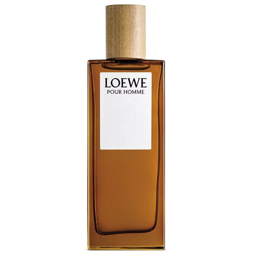 Loewe, Pour Homme toaletní voda ve spreji 50ml