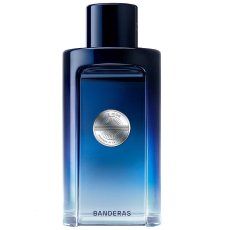 Antonio Banderas The Icon toaletná voda v spreji 200ml