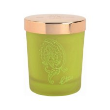Etro Scented candle Daphne 170g
