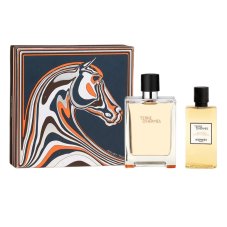Hermes Terre D'Hermes sada toaletná voda v spreji 100ml + sprchový gél 80ml