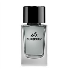 Burberry, Mr. Burberry woda toaletowa spray 100ml