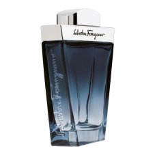 Salvatore Ferragamo Subtil Pour Homme toaletná voda v spreji 30ml