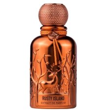 Auraa Desire Rusty Island parfémový extrakt v spreji 100ml