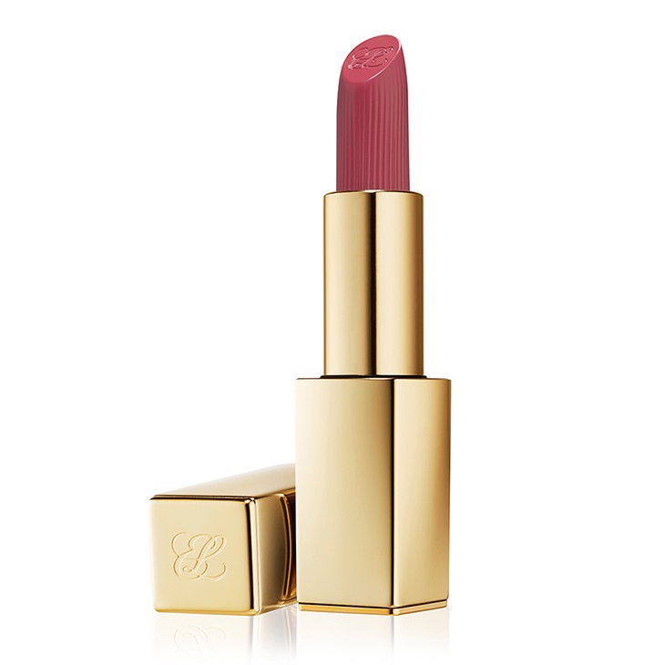 Pure Color Matte Lipstick 19