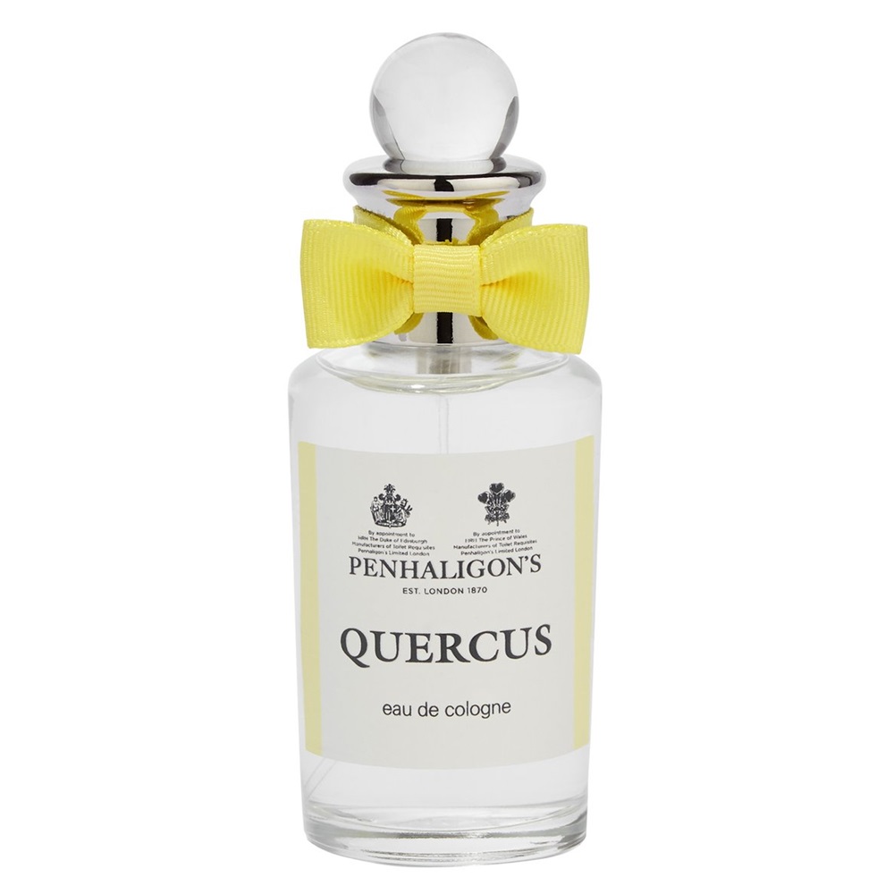 Quercus 2