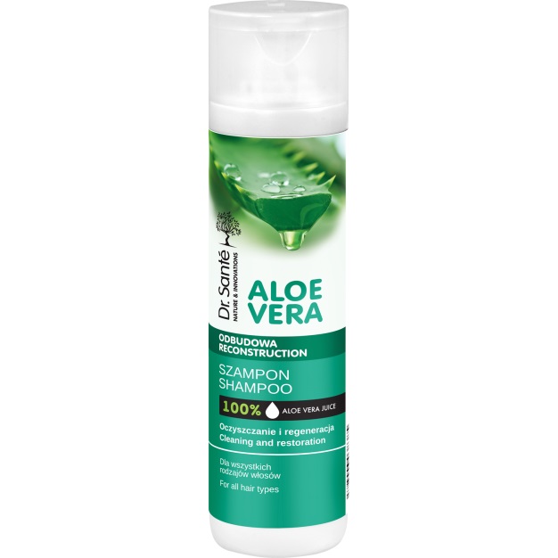 Aloe Vera 2