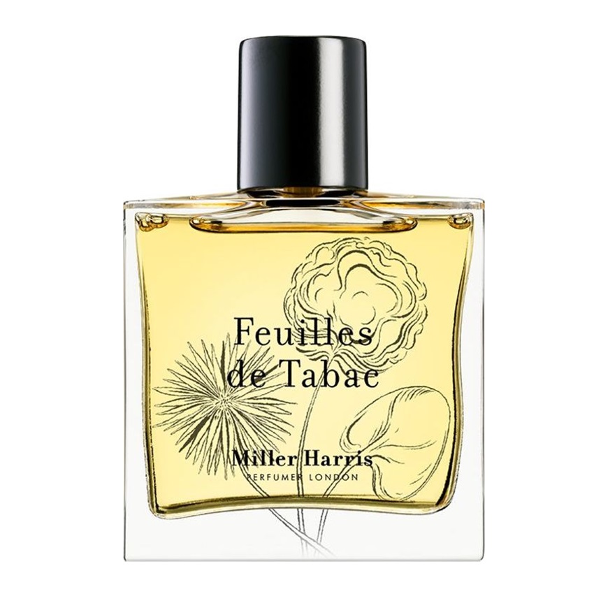 Feuilles De Tabac 2