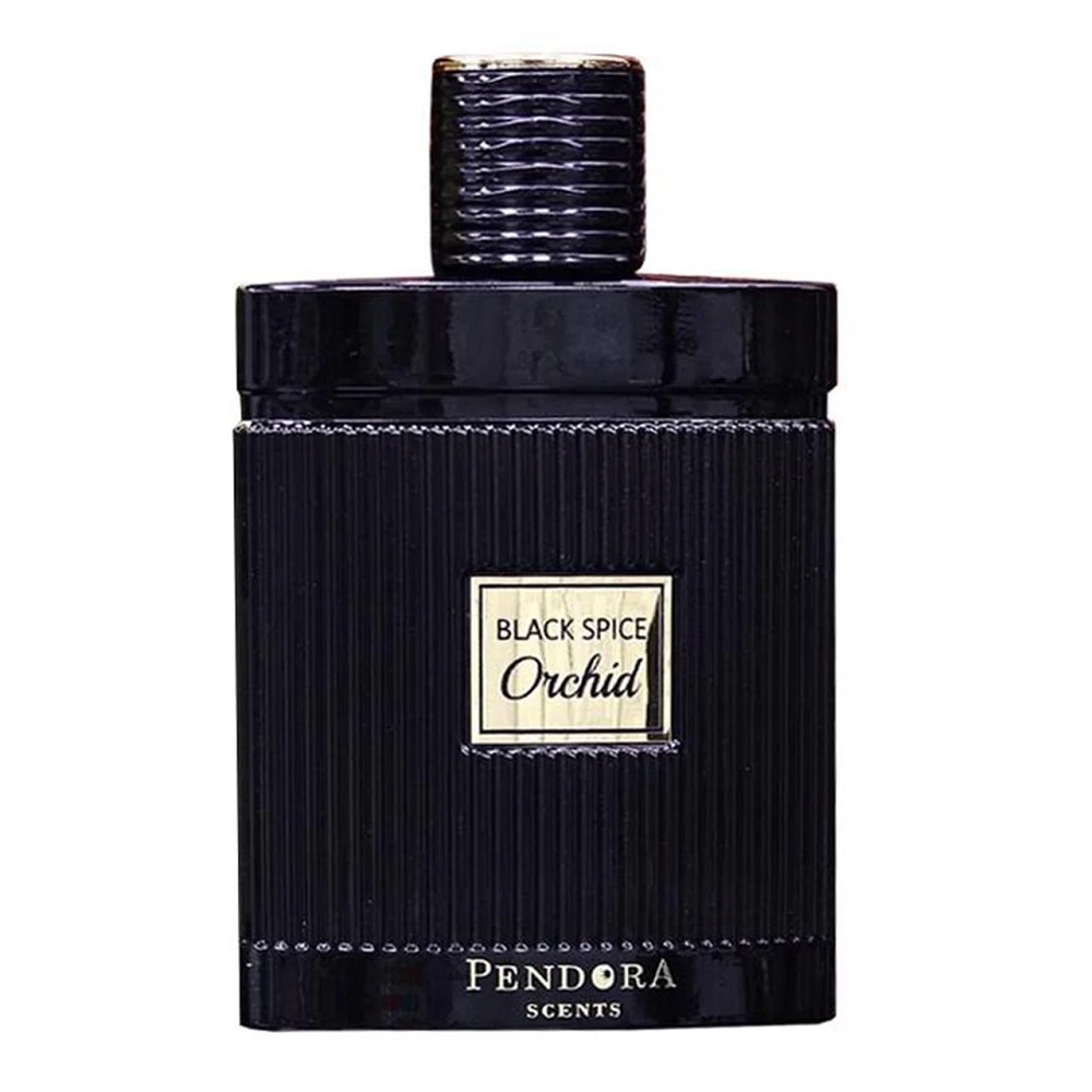 Black Spice Orchid