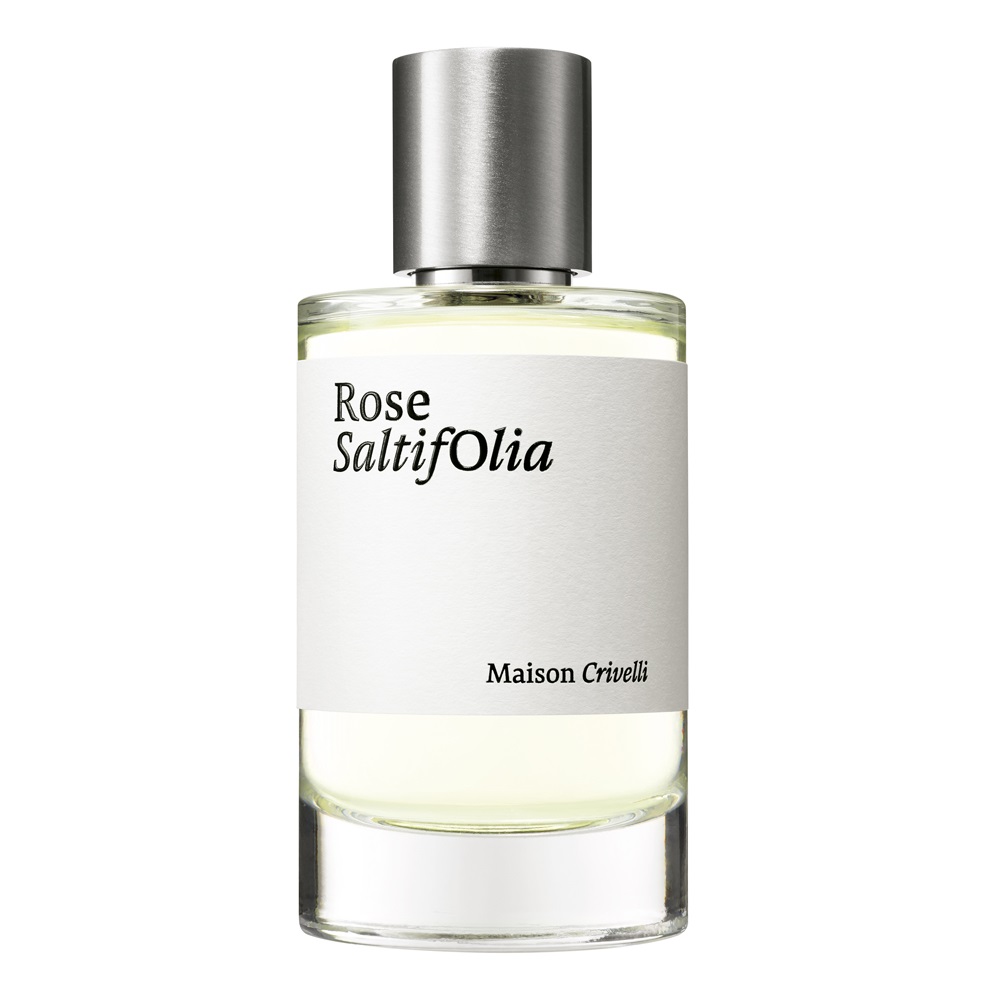 Rose Saltifolia 3