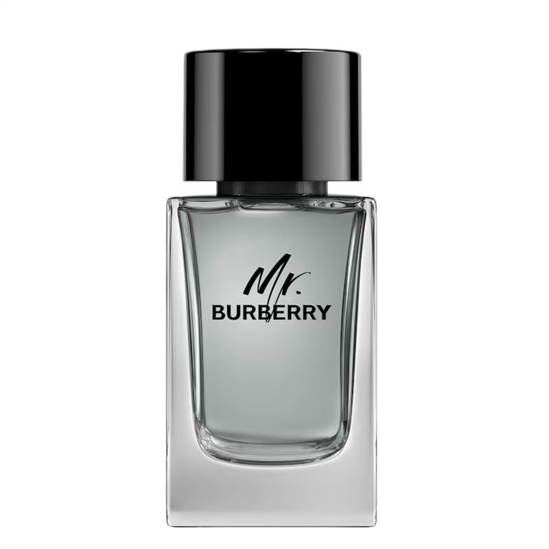 Mr. Burberry For Men 3
