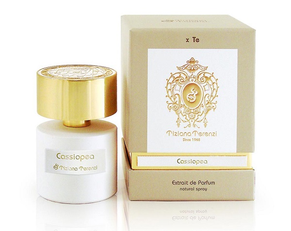 Cassiopea Candle