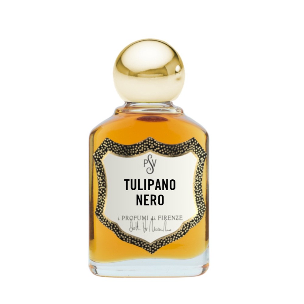 Tulipano Nero 3