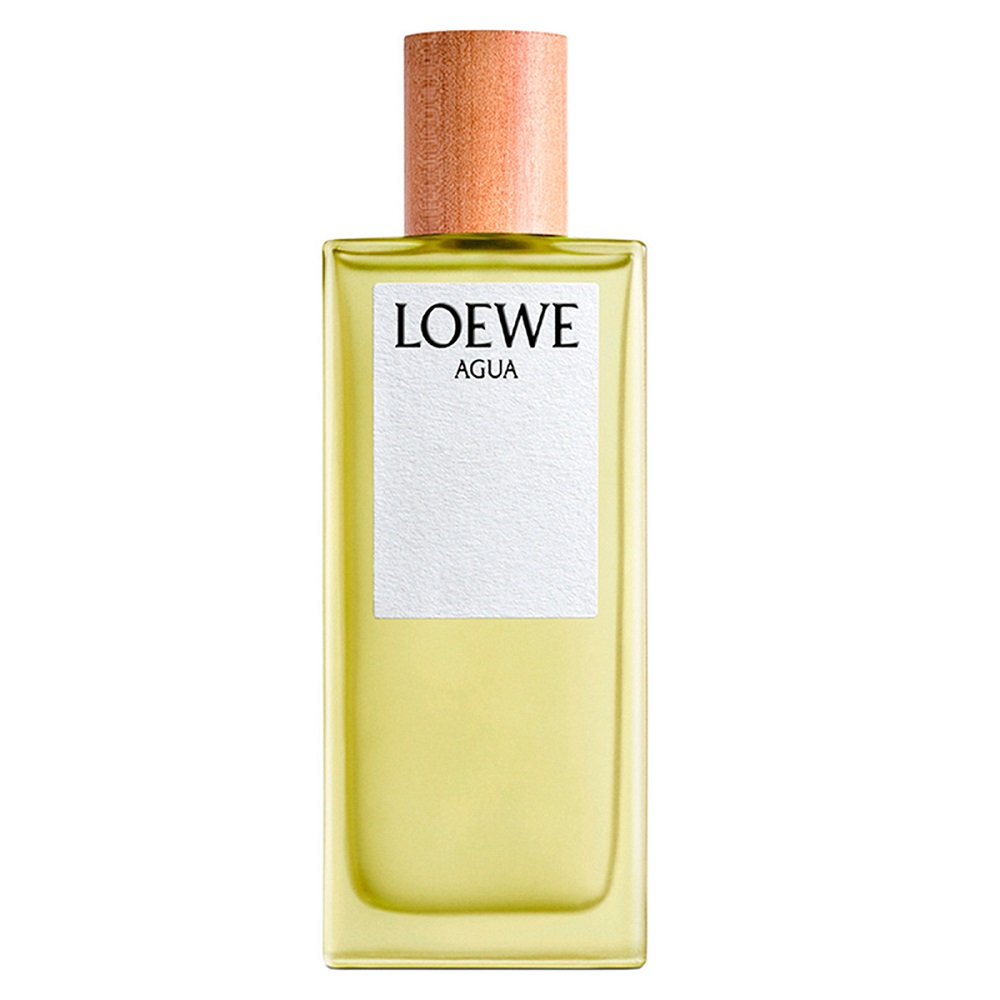 Loewe Agua de Loewe toaletná voda unisex 100 ml