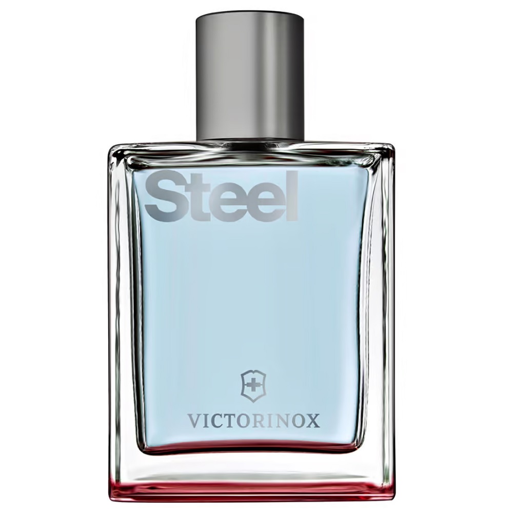 Steel Toaletná Voda V Spreji 100ml