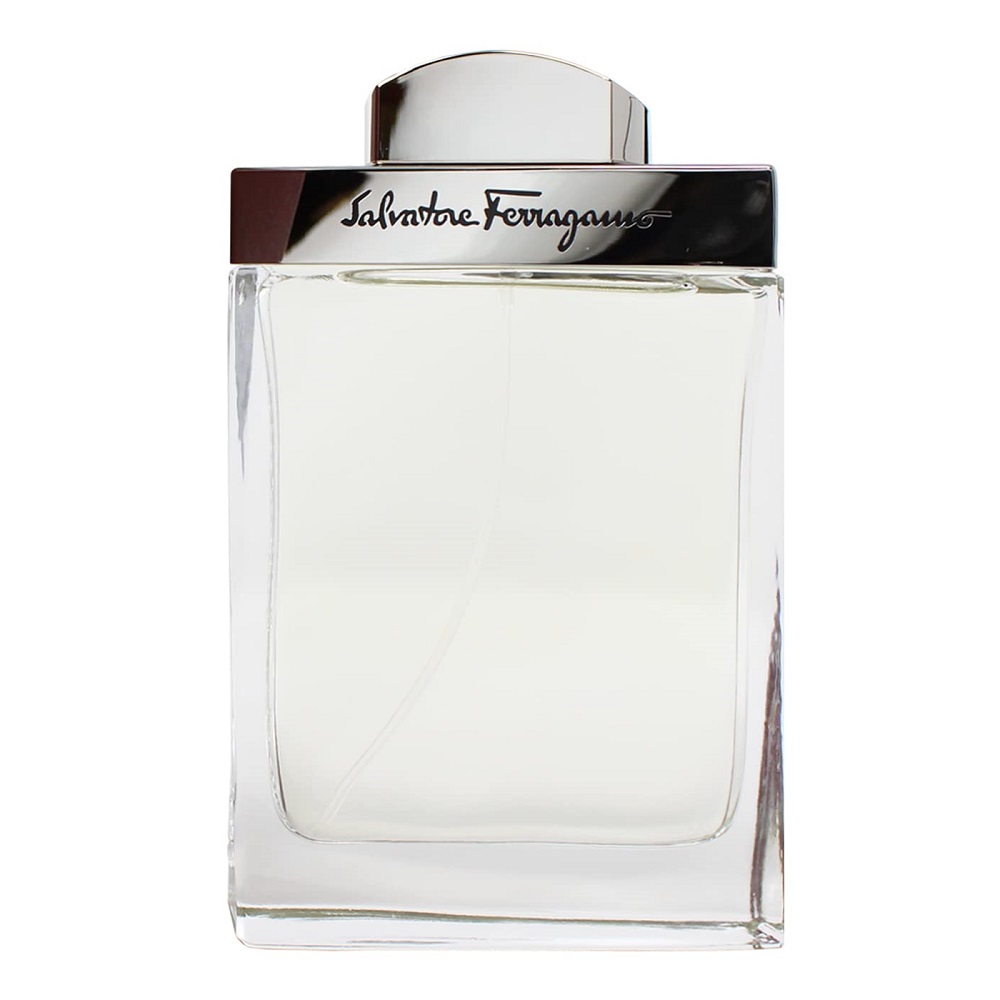 Salvatore Ferragamo Pour Homme toaletní voda ve spreji 100ml