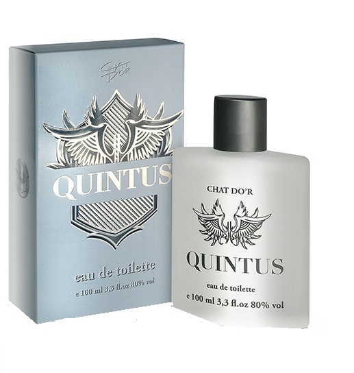 Chat D'or Adventure toaletná voda pánska 100 ml