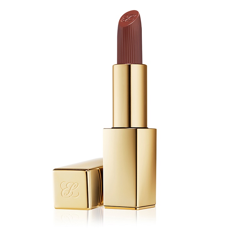 Pure Color Matte Lipstick 15