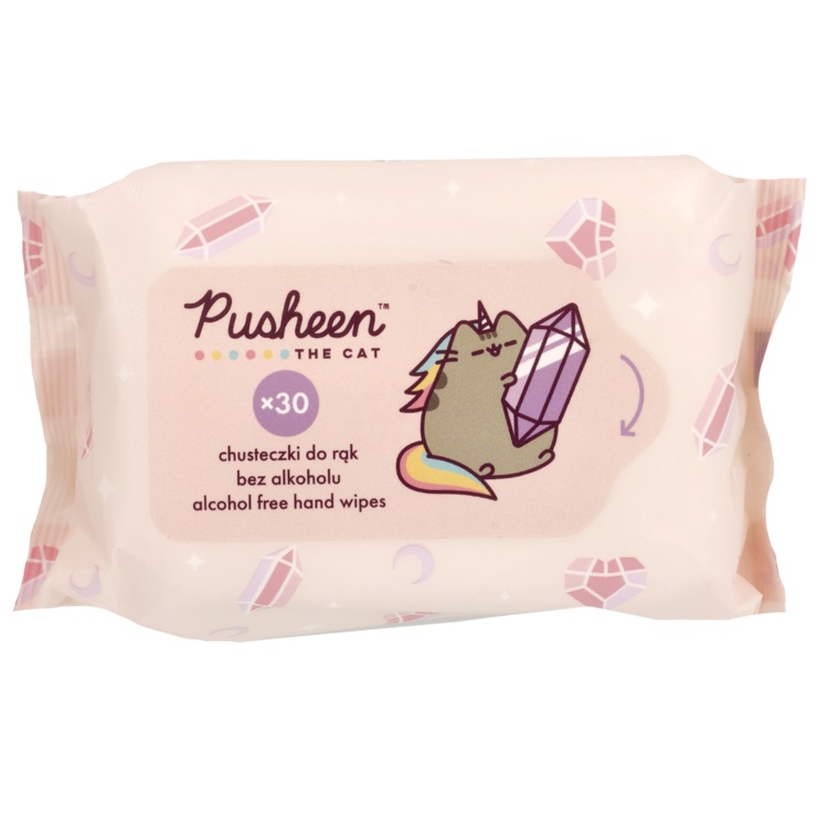Pusheen, vlhčené obrúsky na ruky pre deti 30ks.