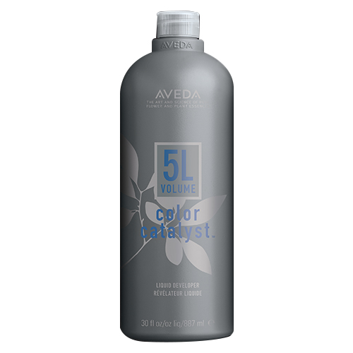 Color Catalyst Liquid Developer