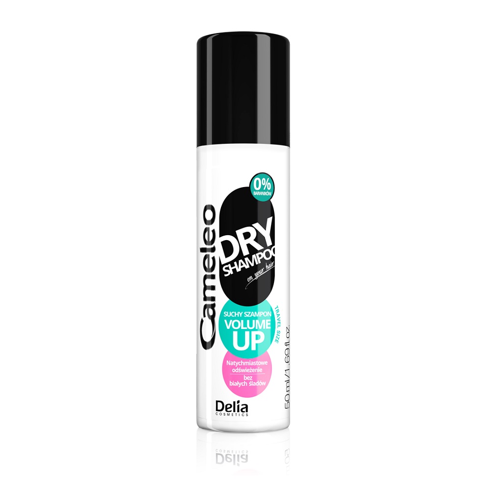 Dry Shampoo 2