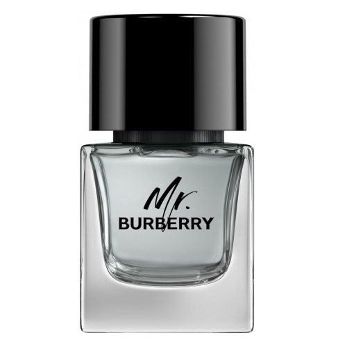 Mr. Burberry For Men 2