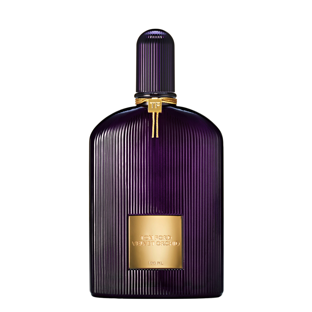 Velvet Orchid